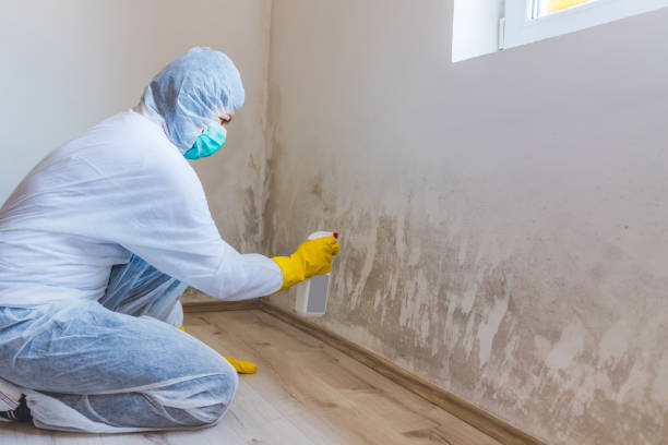Licensed Mold Inspection And Testing service in Allen, TX - 24 Hour Mold Removal