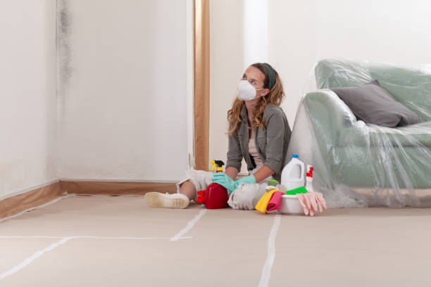Reliable Mold Inspection And Testing contractor in Allen, TX by 24 Hour Mold Removal